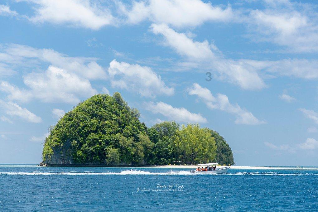 五一假期,你后悔出门旅游了吗?,解决你的疑惑